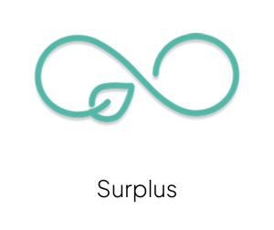 Surplus Surplus